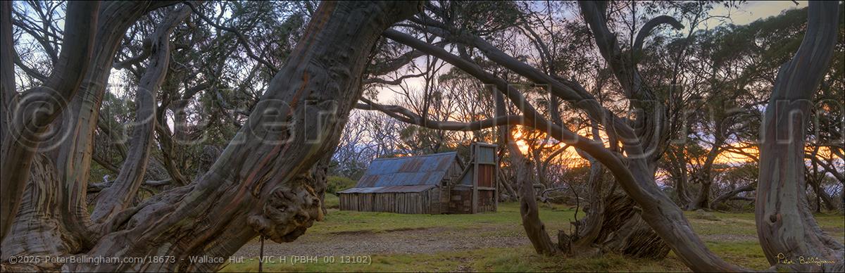 Peter Bellingham Photography Wallace Hut - VIC H (PBH4 00 13102)
